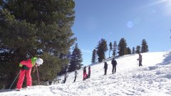 07_skifreizeit_2015.jpg