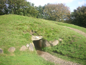 DSCN3624