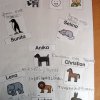 diese_tiere_moegen_wir_g