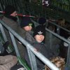 Werder_2010_07