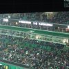 Werder_2010_22