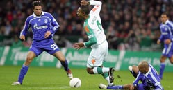 naldogefoultschalke130 naldogefoultschalke130